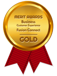 2025 GOLD Merit Awards for Business for Customer Experience